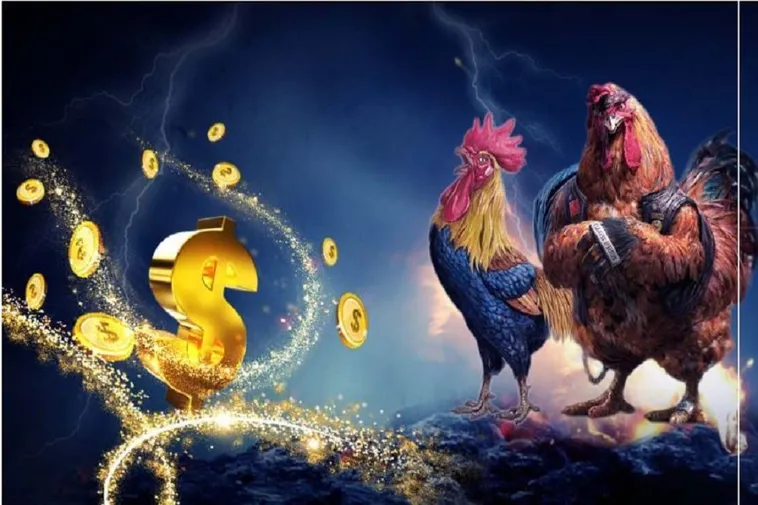 Hướng Dẫn Cách Chơi Đá Gà WS168 Tại 8DAY Đỉnh Cao Kịch Tính 2025