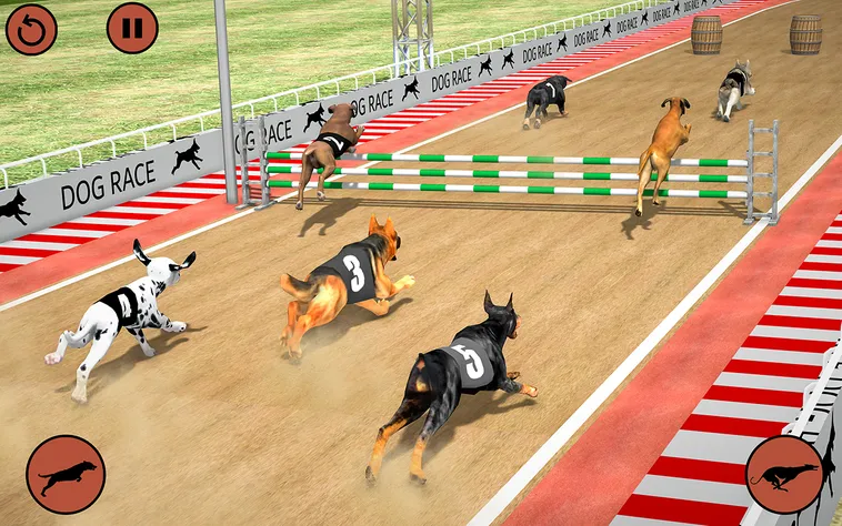 Hướng Dẫn Cách Chơi Game Nhanh Đua Chó Tại 8DAY Thắng Lớn Nhanh Chóng
