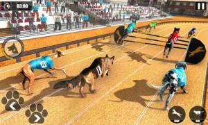 Hướng Dẫn Cách Chơi Game Nhanh Đua Chó Tại 8DAY Thắng Lớn Nhanh Chóng